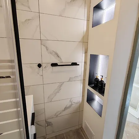 Apartment Brezinova Brünn